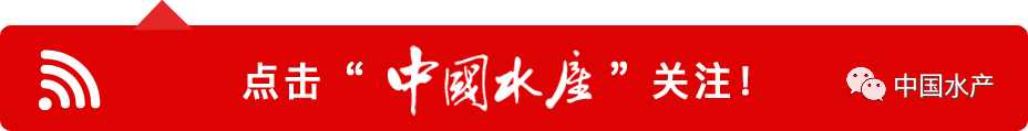 渔具中大头针怎么用_渔具中的橡胶圈干什么用的_中渔具