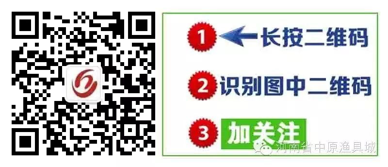 批发渔具在哪里进货_批发市场渔具_批发进货渔具赚钱吗